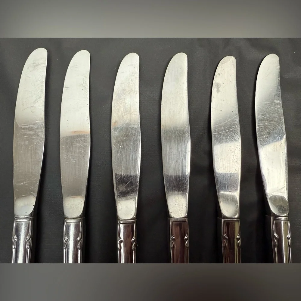 Vtg ONEIDA Arbor Rose True Rose Stainless‎ Floral Handle Knives Hollow Set of 6